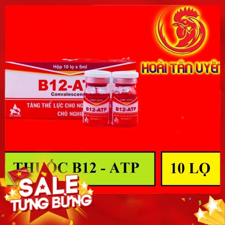 B12 ATP TĂNG BO, LÌ ĐÒN HỘP 10 LỌ CHO GÀ ĐÁ