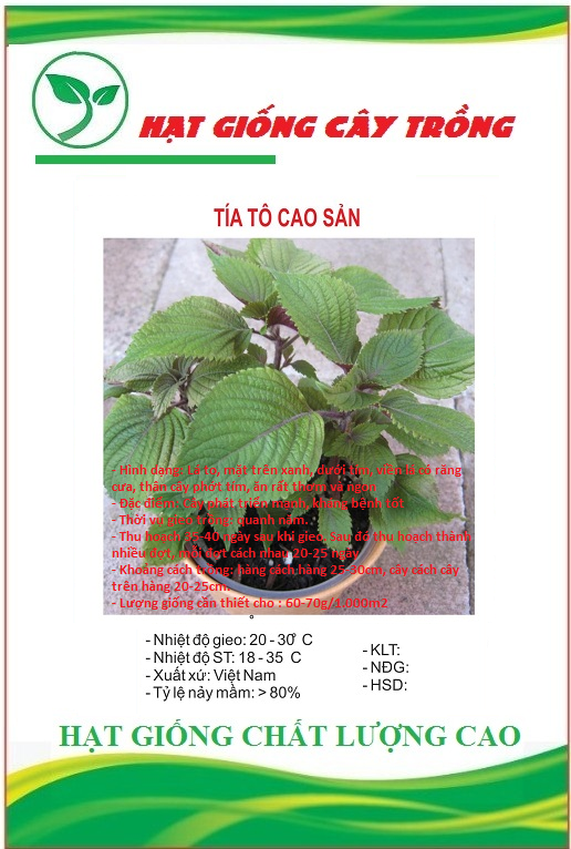 Hạt giống rau tía tô cao sản ct137 - gói 2gram