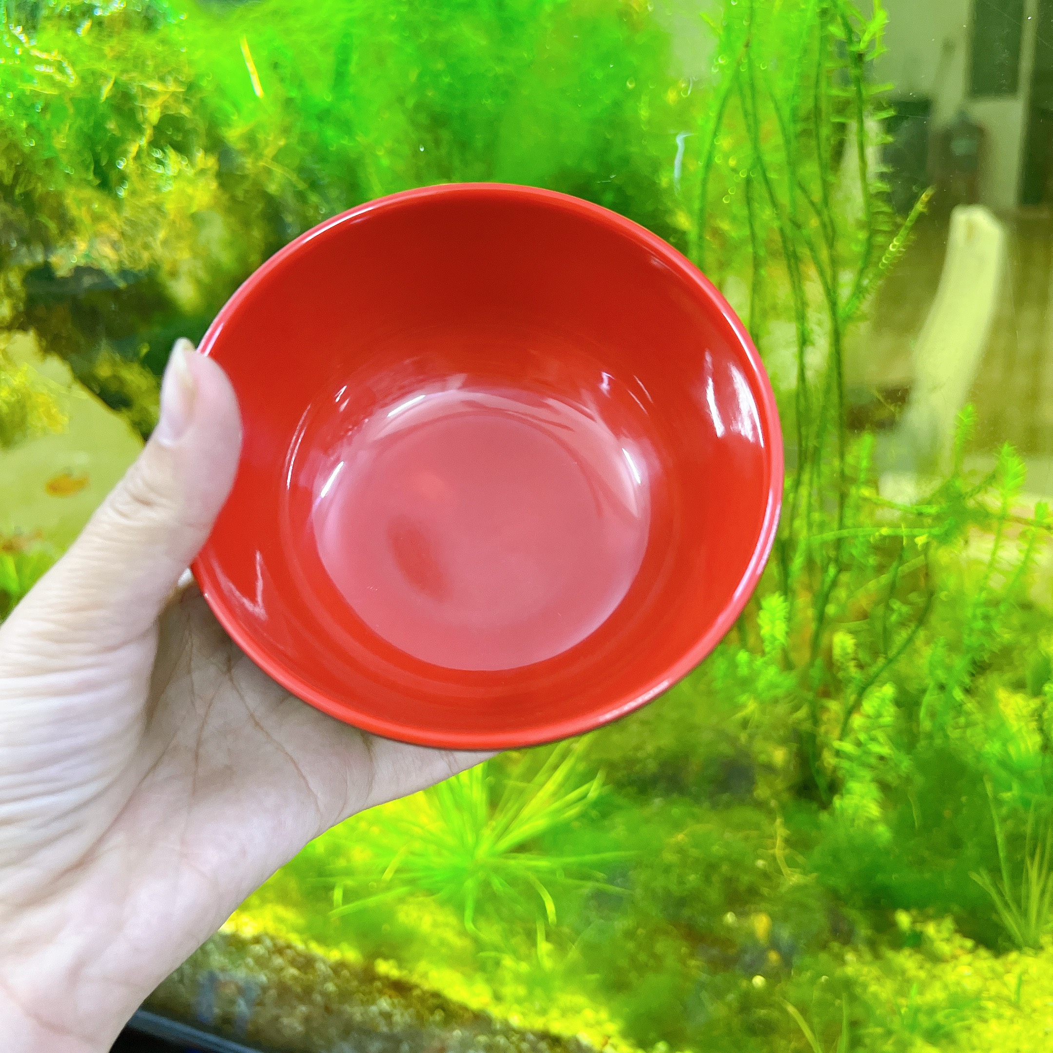 COMBO 10 Chén Nhựa Melamine Hai Lớp Đỏ Đen FATACO CAO CẤP