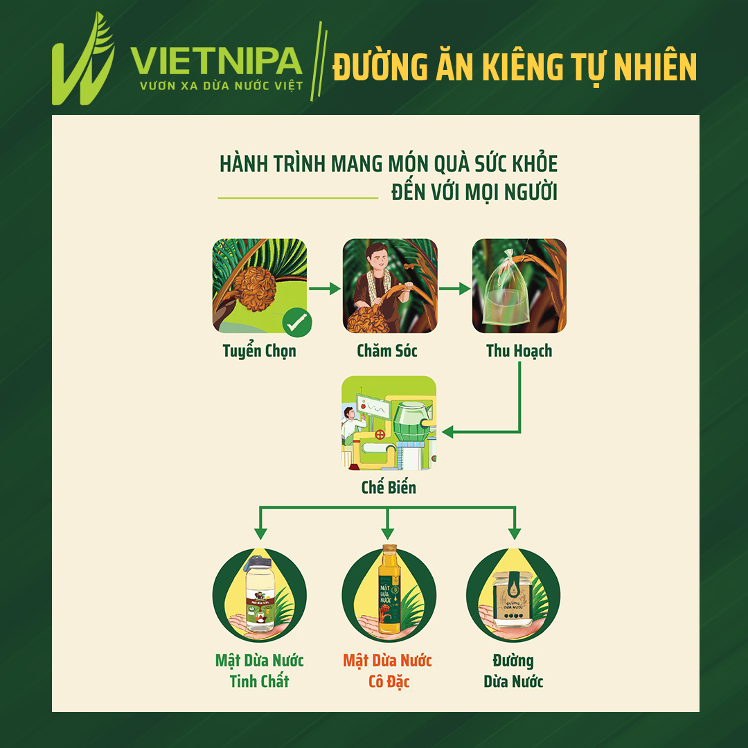 Mật Dừa Nước Cô Đặc Hữu Cơ VIETNIPA - 150g