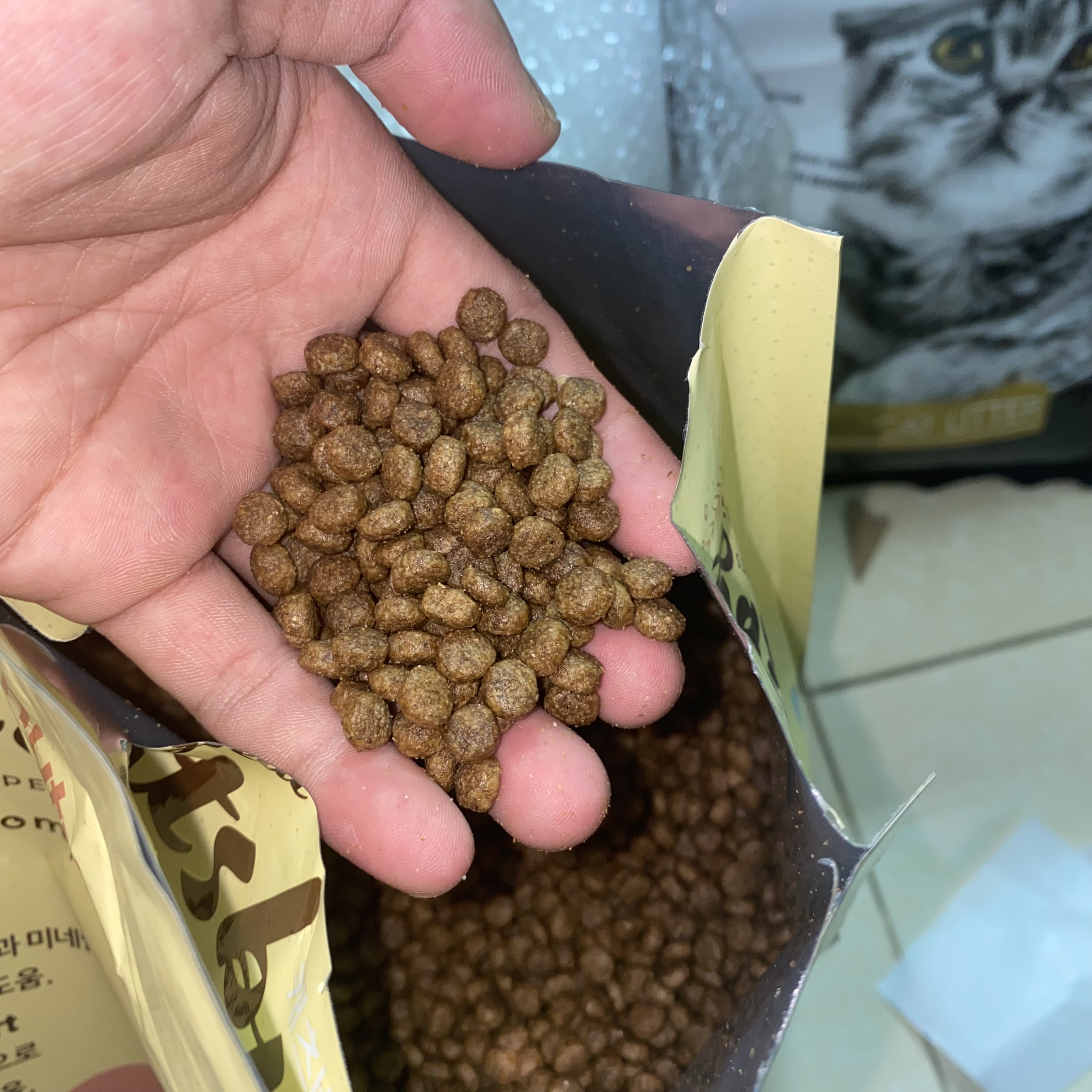 Thức ăn hạt cho mèo mọi lứa tuổi - Thức ăn Casby