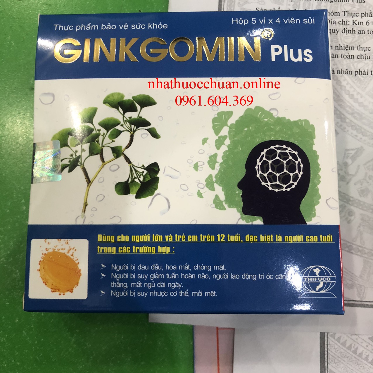 Ginkgomin Plus (5*4)