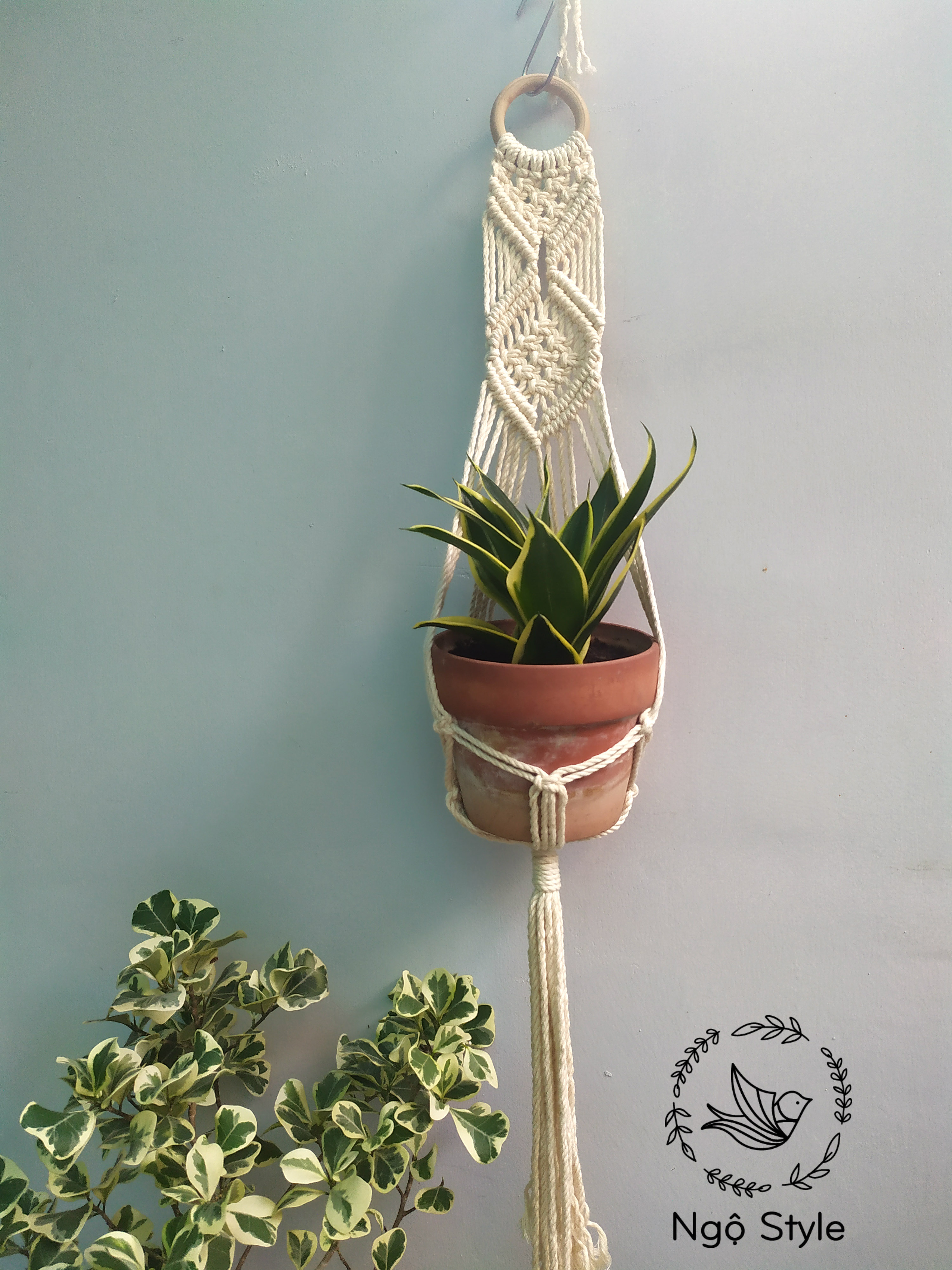 [HCM]Dây treo cây giỏ treo cây macrame rẻ đẹp