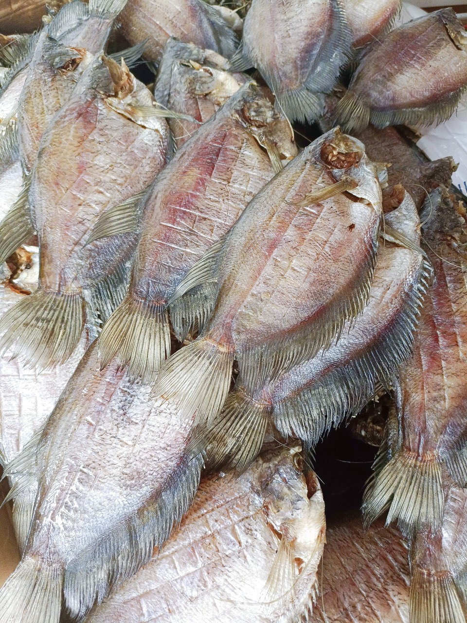 Khô Cá Sặc Bổi Lạt 3 Nắng Size Mập 8 con/Kg
