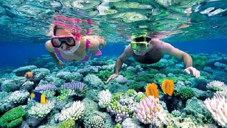 Kính Bơi Kèm Ống Thở Cho Bé
