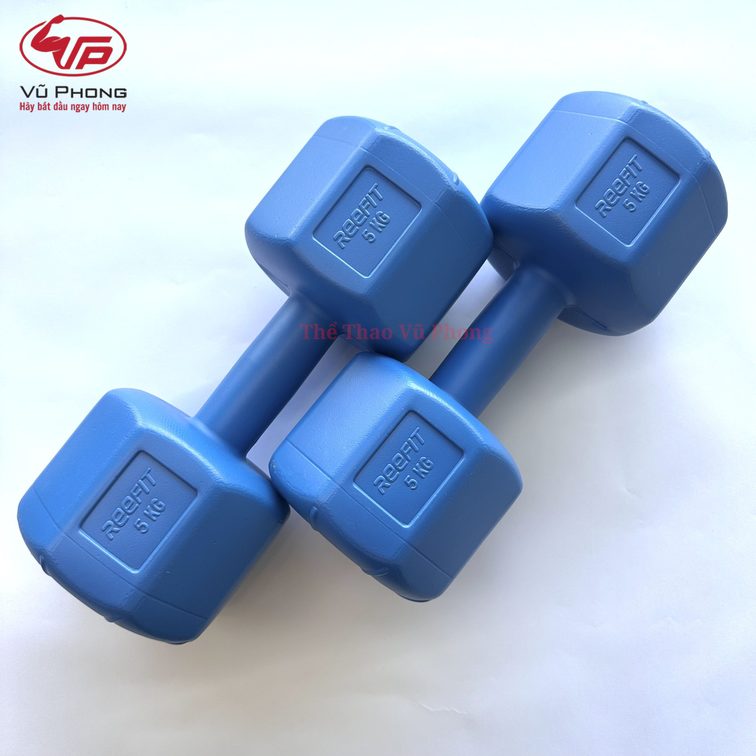 Bộ 2 Tạ Nhựa Bát Giác 5KG (Đã Có Ruột) (gồm 2 tạ 5kg, tổng 10kg)