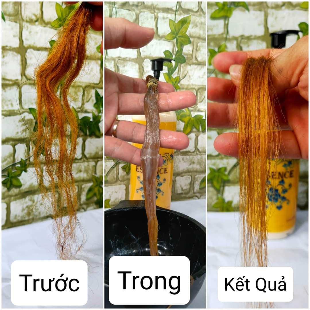 Hấp Phục Hồi Tóc Essence 500ml