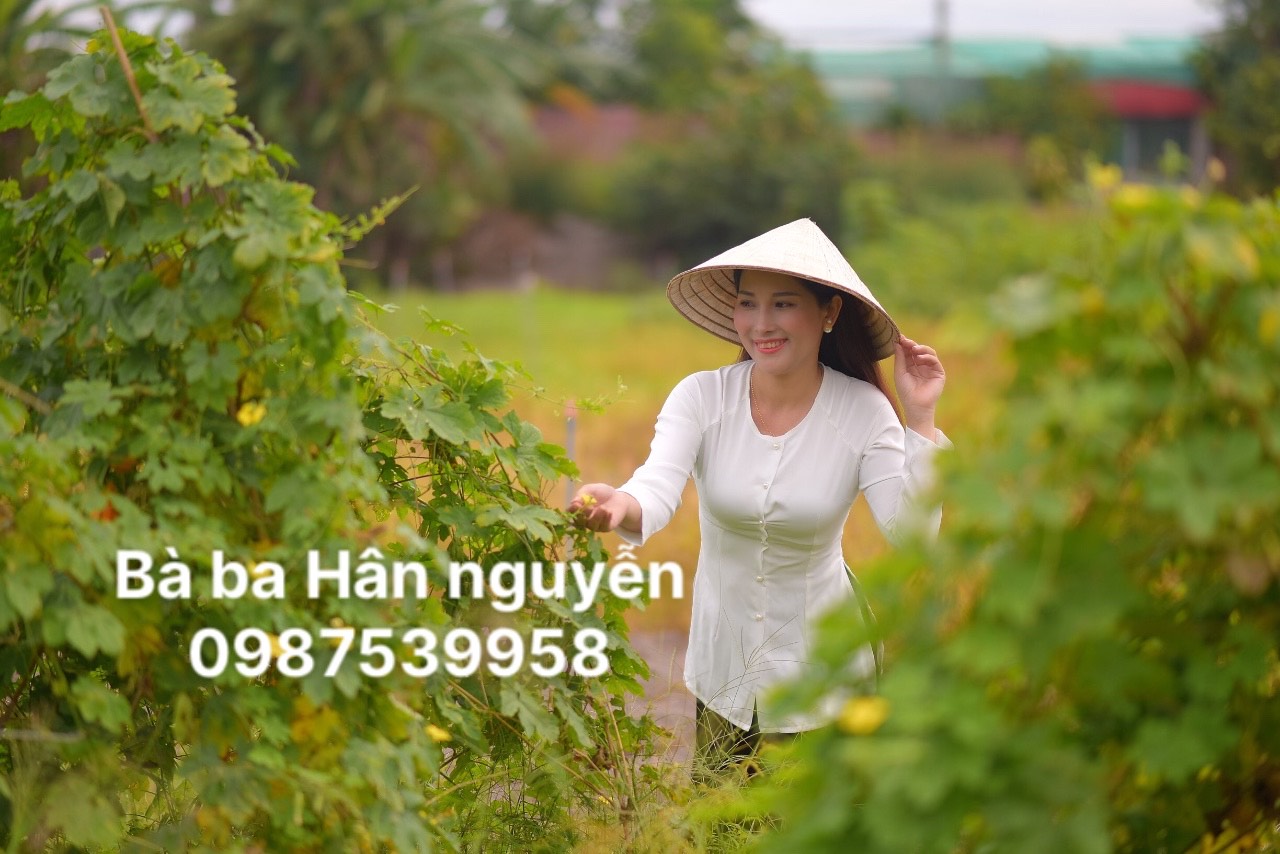 ÁO BÀ BA TRƠN CỔ TRÒN( ÁO LẺ)