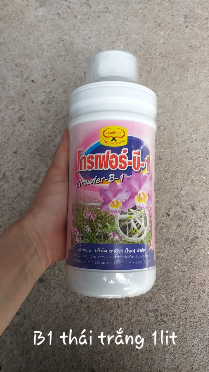 Phân bón lá B1 Thái Lan Grofer B1 Thái Trắng chai 100ml, 500ml, 1 lít