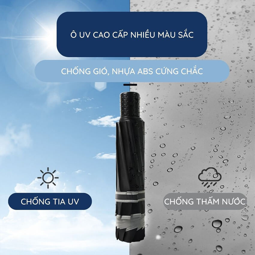 Ô dù che mưa che nắng chống tia UV cầm tay gấp gọn họa tiết Gấu dễ thương, ô che mưa nắng 8 nan cứng cáp, dù che mưa che nắng gấp gọn nhiều màu