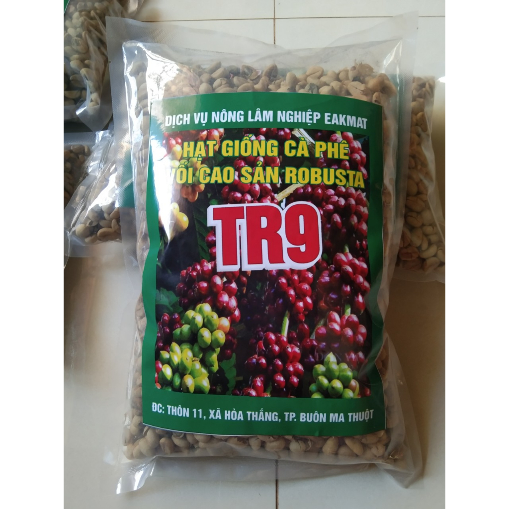 1kg HẠT GIỐNG CÀ PHÊ TR9