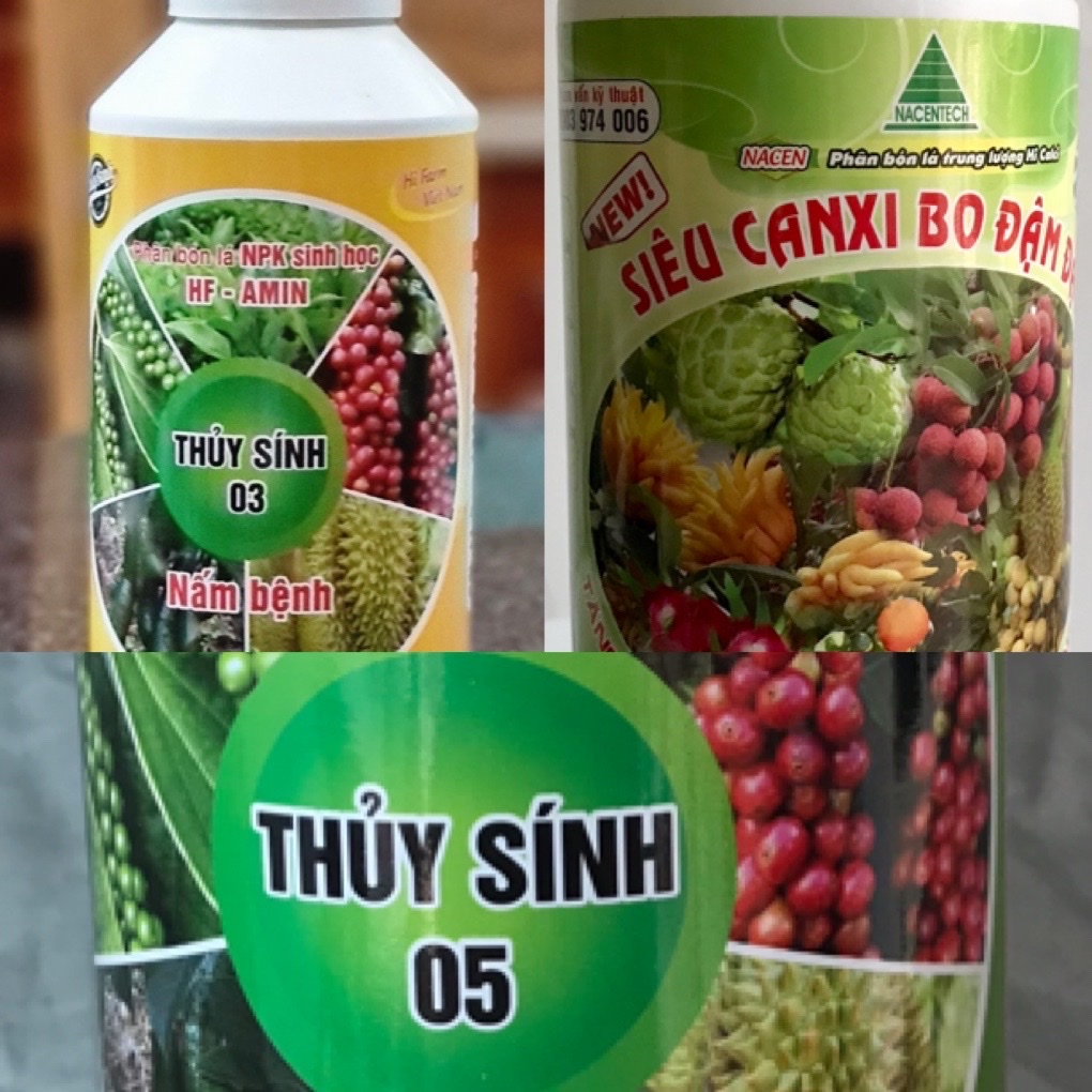 Phân Bón Canxi Bo
