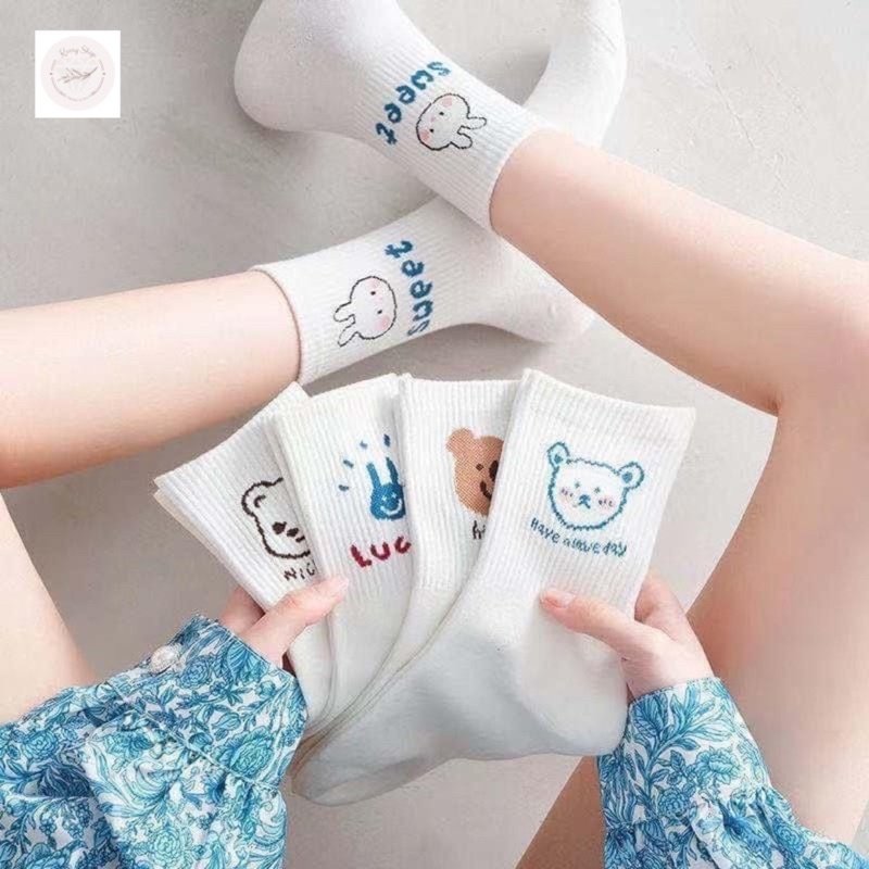 Set 5 đôi tất vớ nữ cao cổ gấu trắng ss2 2022