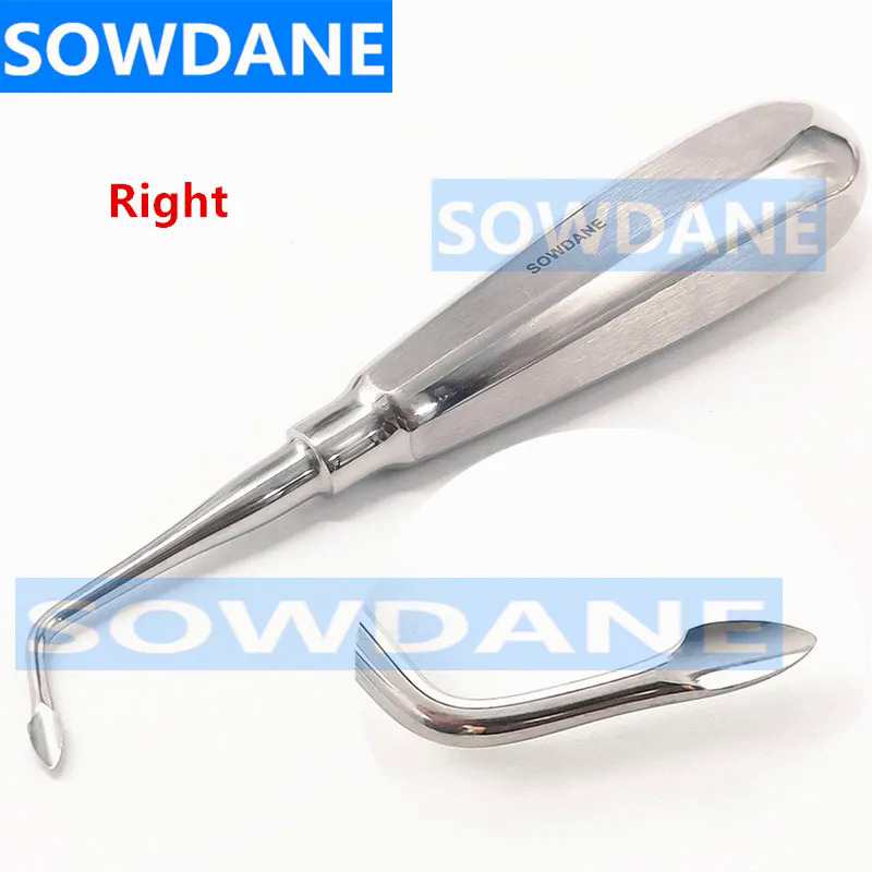1 Piece nha khoa khai thác tối thiểu xâm lấn Spade tip thang máy nha khoa thang máy răng miệng nới lỏng gốc khai thác công cụ