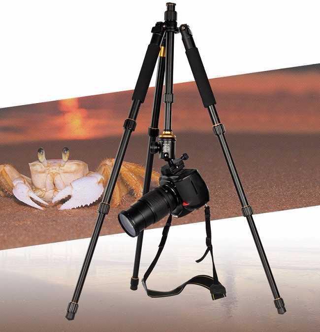 Chân máy ảnh Tripod Beike Q999