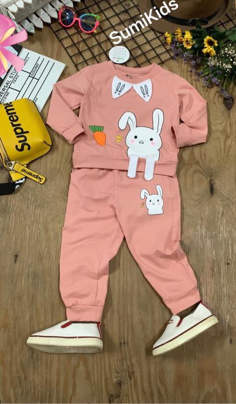 Nơi bán Bộ quần áo thun dài tay SumiKids dễ thương cho bé gái Hồng 132G