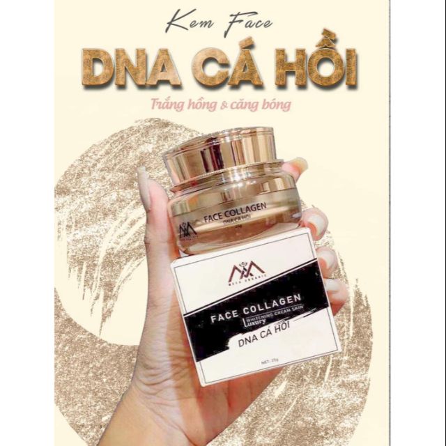 KEM FACE COLLAGEN DNA CÁ HỒI 25G