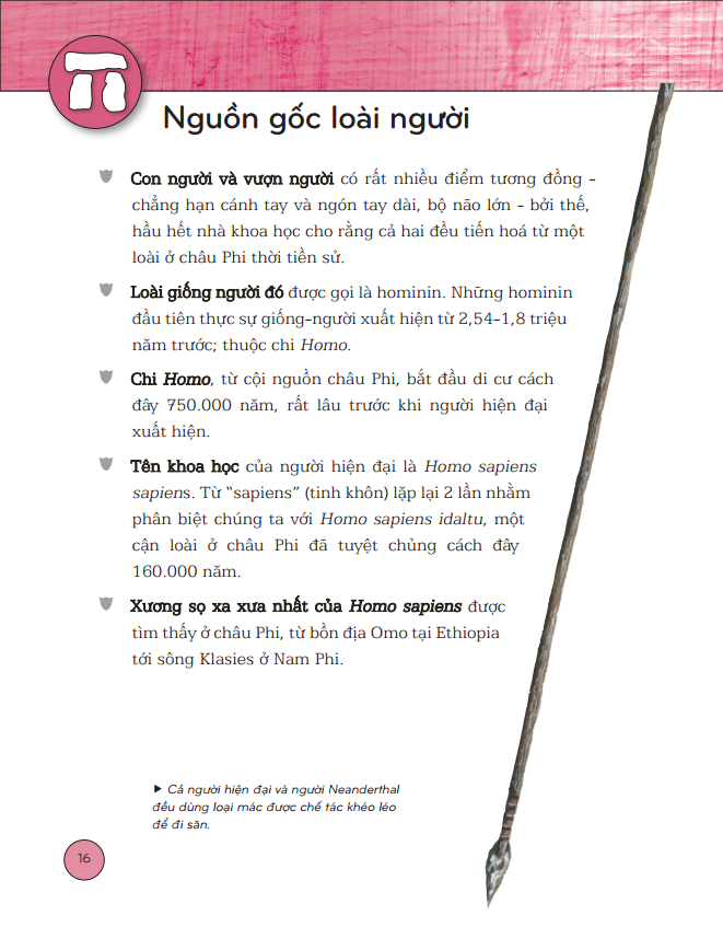 Bách Khoa Thư Lịch Sử (Bìa Mềm)