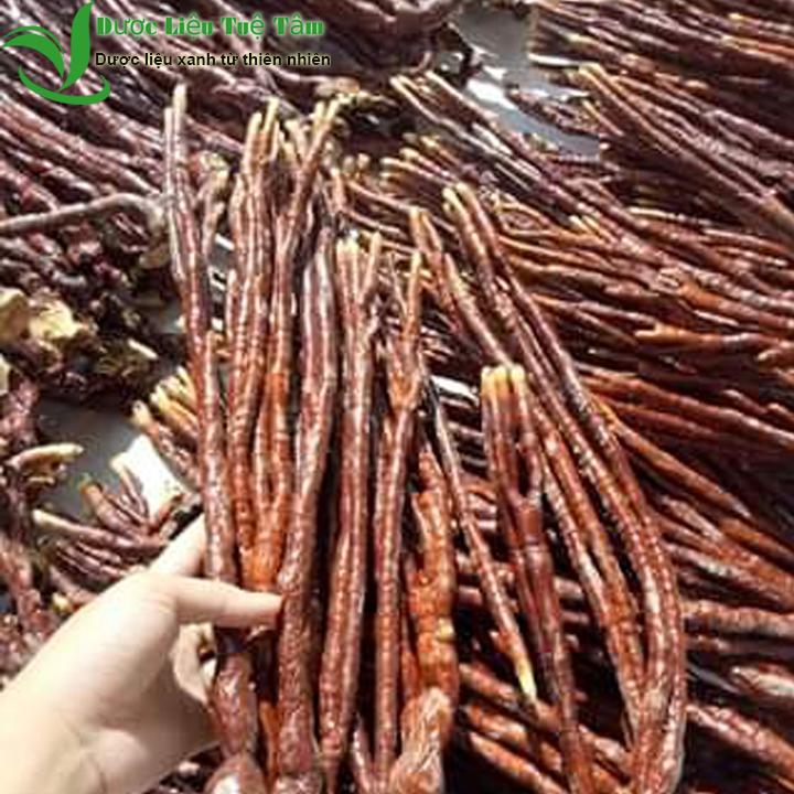 1kg Nấm linh chi sừng hươu - Nấm sừng hươu