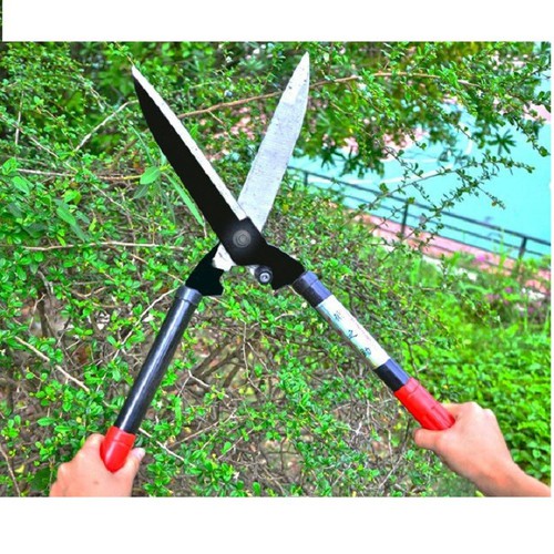 kéo cắt tỉa hàng rào, cây cảnh