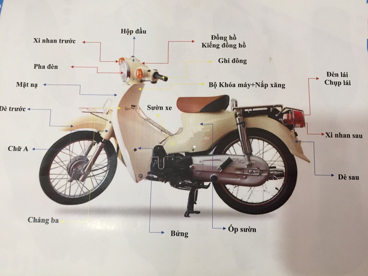 bộ đèn láy sau (đèn hậu) cub 81 mới (cub hanlim)