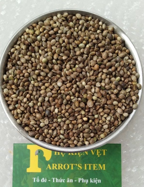 [HCM]500g hạt Láng gà(tròn) cho thú cưngvẹt và chim