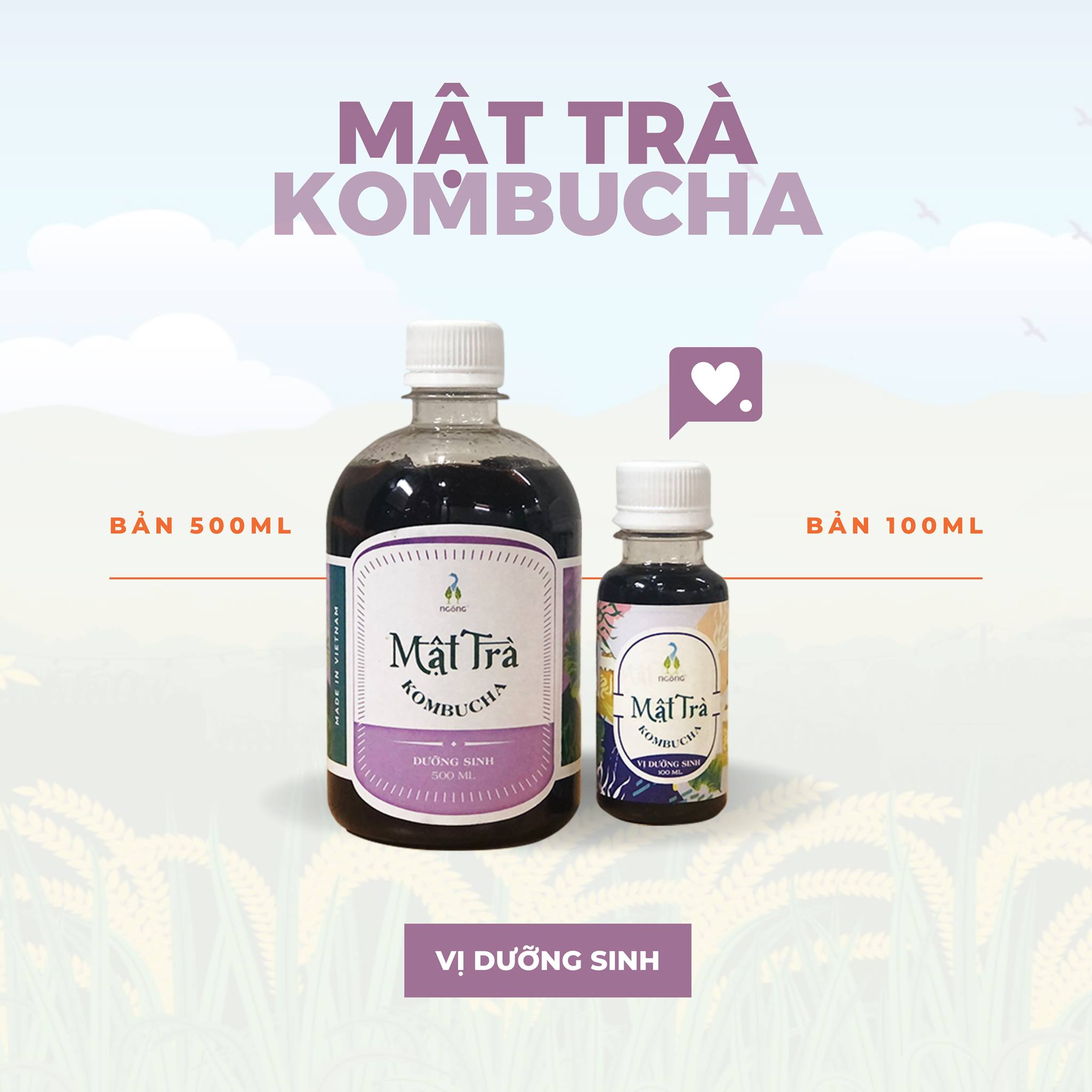 Mật trà kombucha (Ngỗng) | cốt chuối, thảo mộc, dưỡng sinh