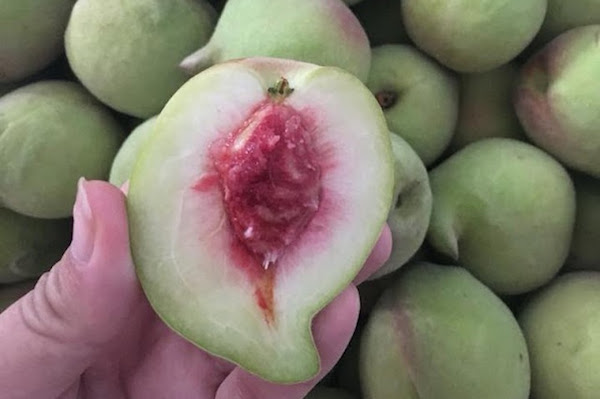 Xí Muội Đào Không Hạt Loại Ngon 500gr (NCFOOD)