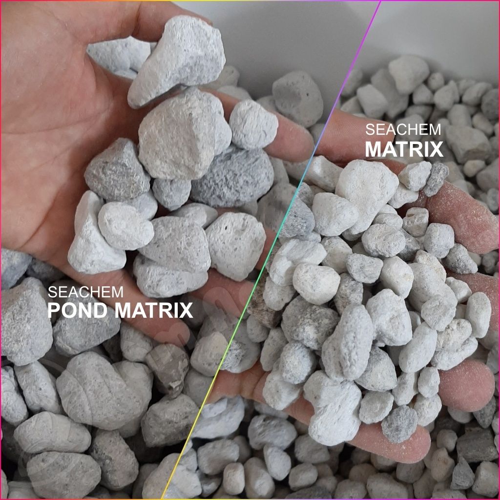SEACHEM MATRIX - Vật Liệu Lọc Số 1 Cho Bể Cá