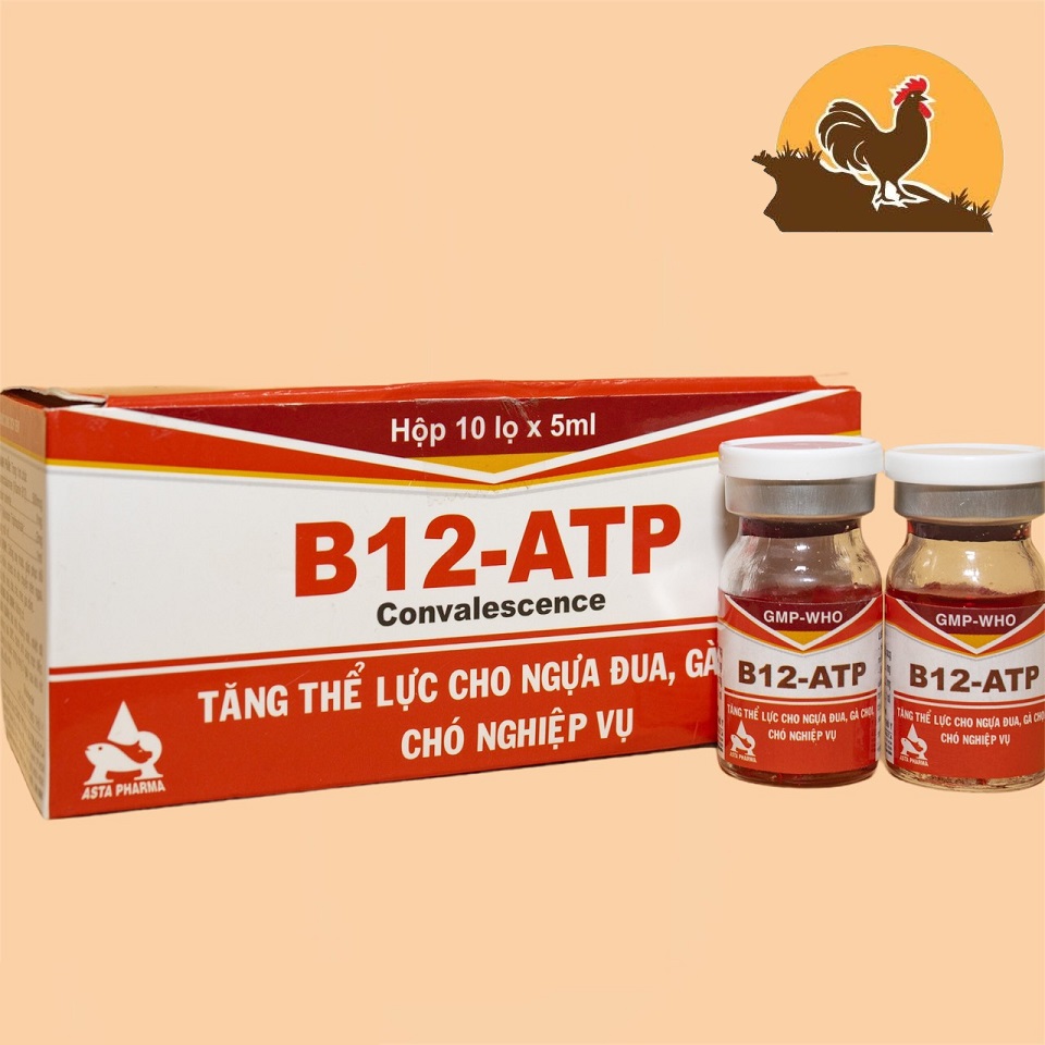 COMBO 10 LỌ Thuốc tăng lực cho gà đá B12 ATP
