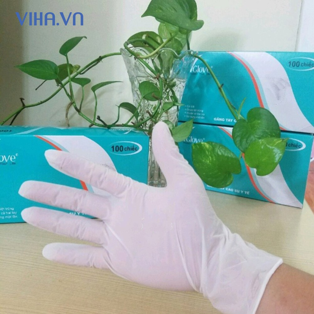 Găng tay  hộp 100 chiếc Vgloves