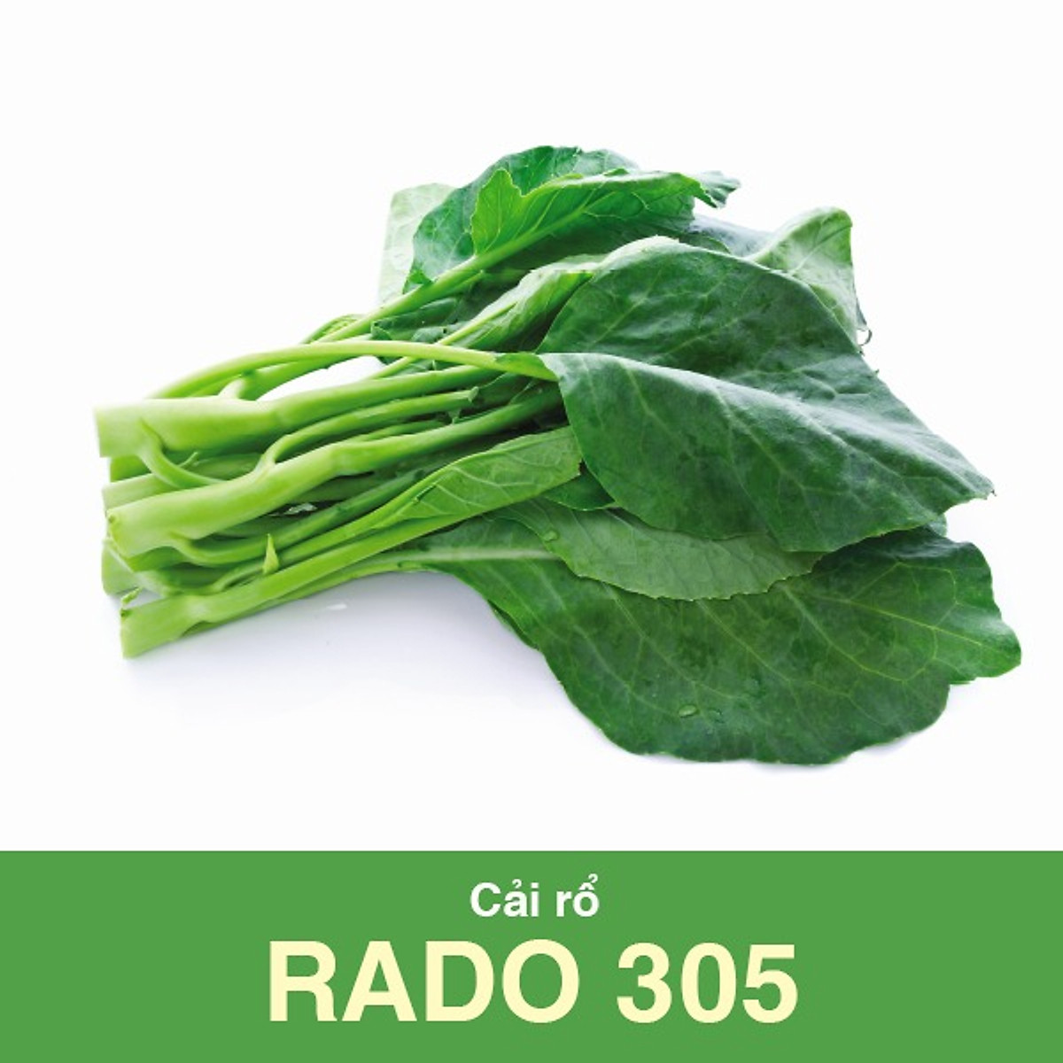 Hạt giống cải rổ Rạng Đông Rado 305