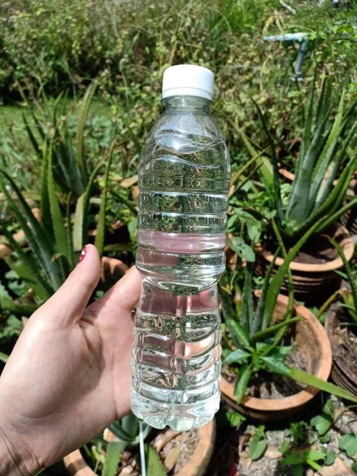 1 LÍT DẦU DỪA ÉP LẠNH KHÔNG MÙI HÀNG CHUẨN BẾN TRE