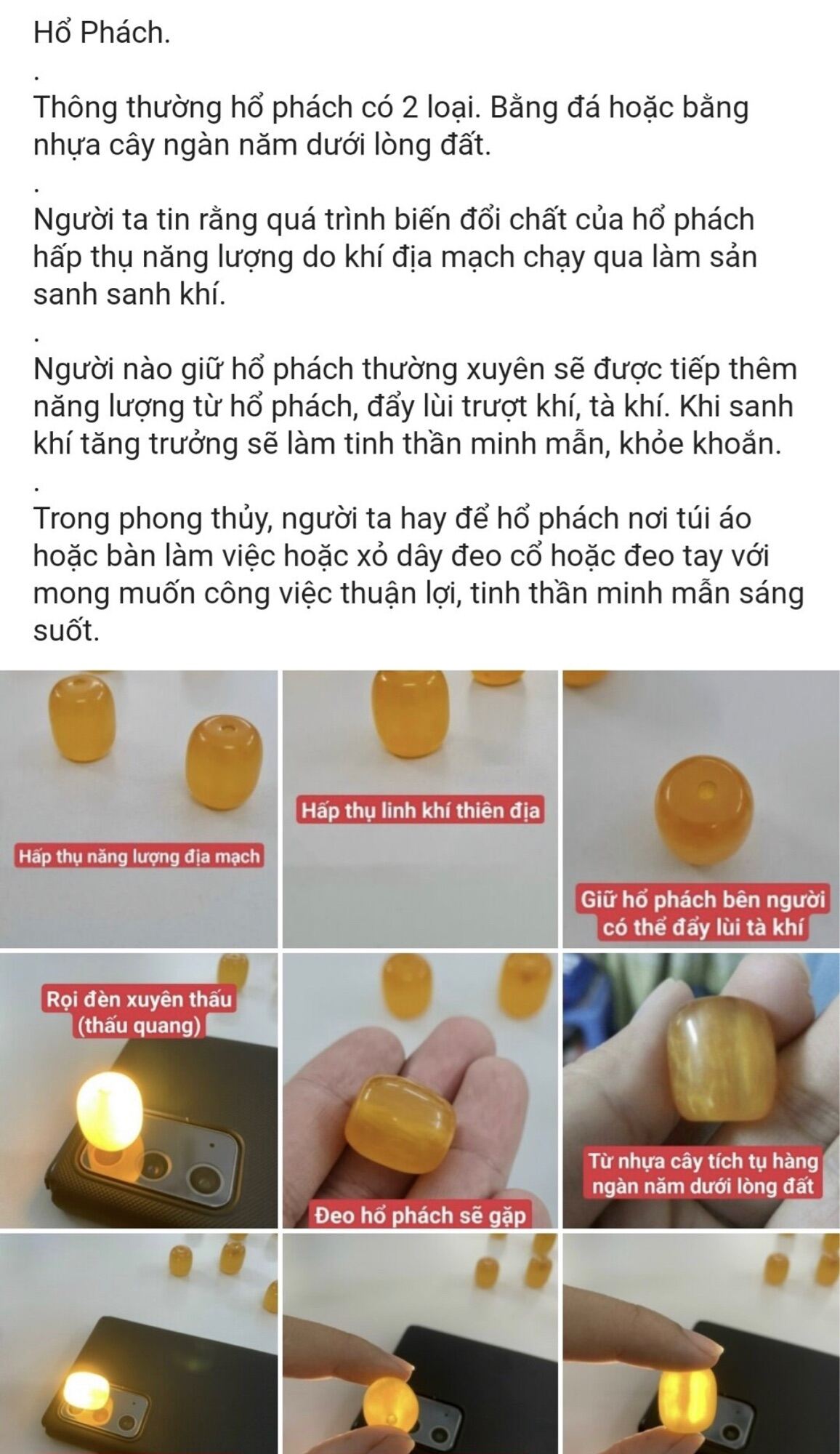 Hổ phách vật phẩm may mắn Thái Lan