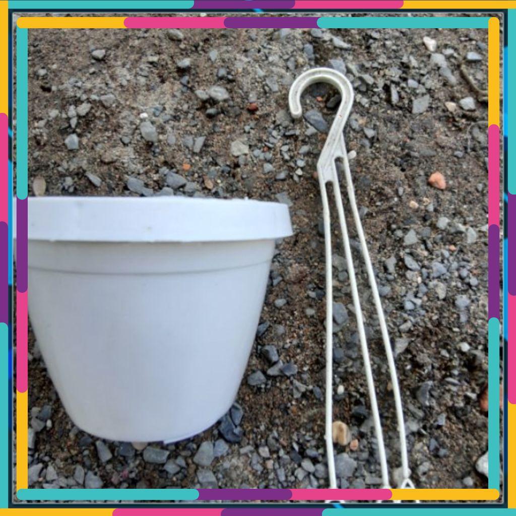 Chậu treo tròn 19cmx13cm