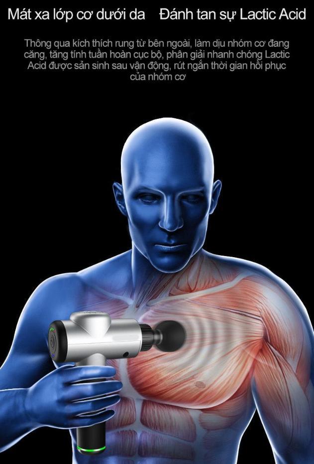 WorldMart MASSAGE SẢNG KHOÁI MỖI NGÀY CÙNG PHOENIX 7