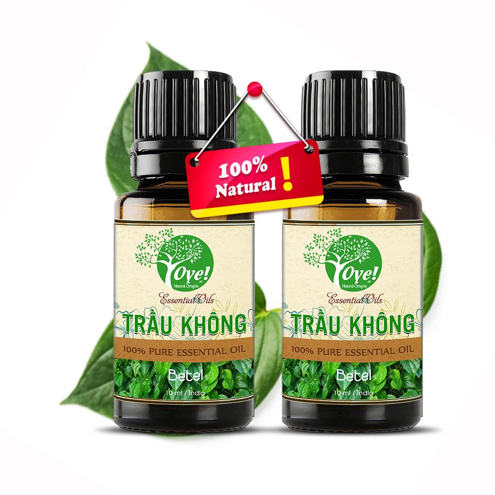 Tinh Dầu Trầu Không 50ml Nguyên Chất