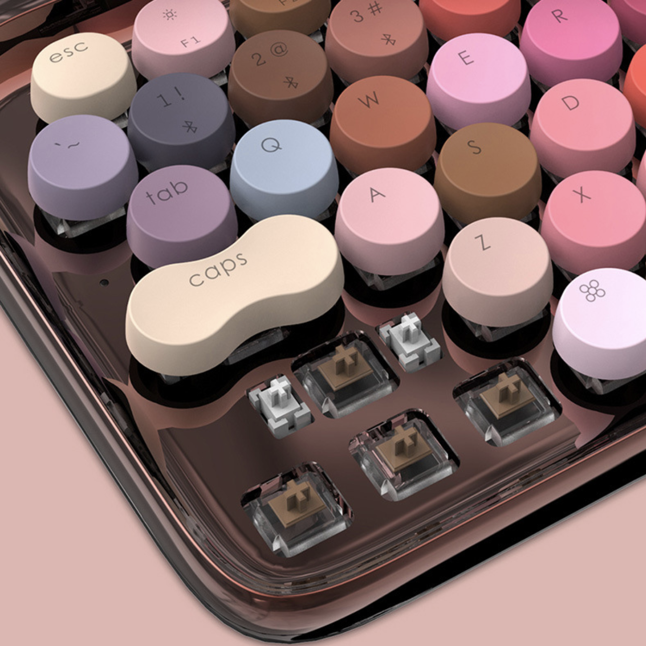 BỘ MAKEUP LOFREE (ROSE GOLD VERSION)