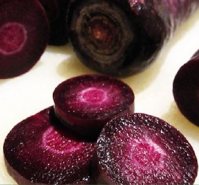 " Gói 100 "Hạt giống Cà rốt tím lai F1 [Seeds]