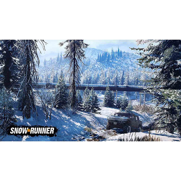 Thẻ Game Switch SNOW RUNNER