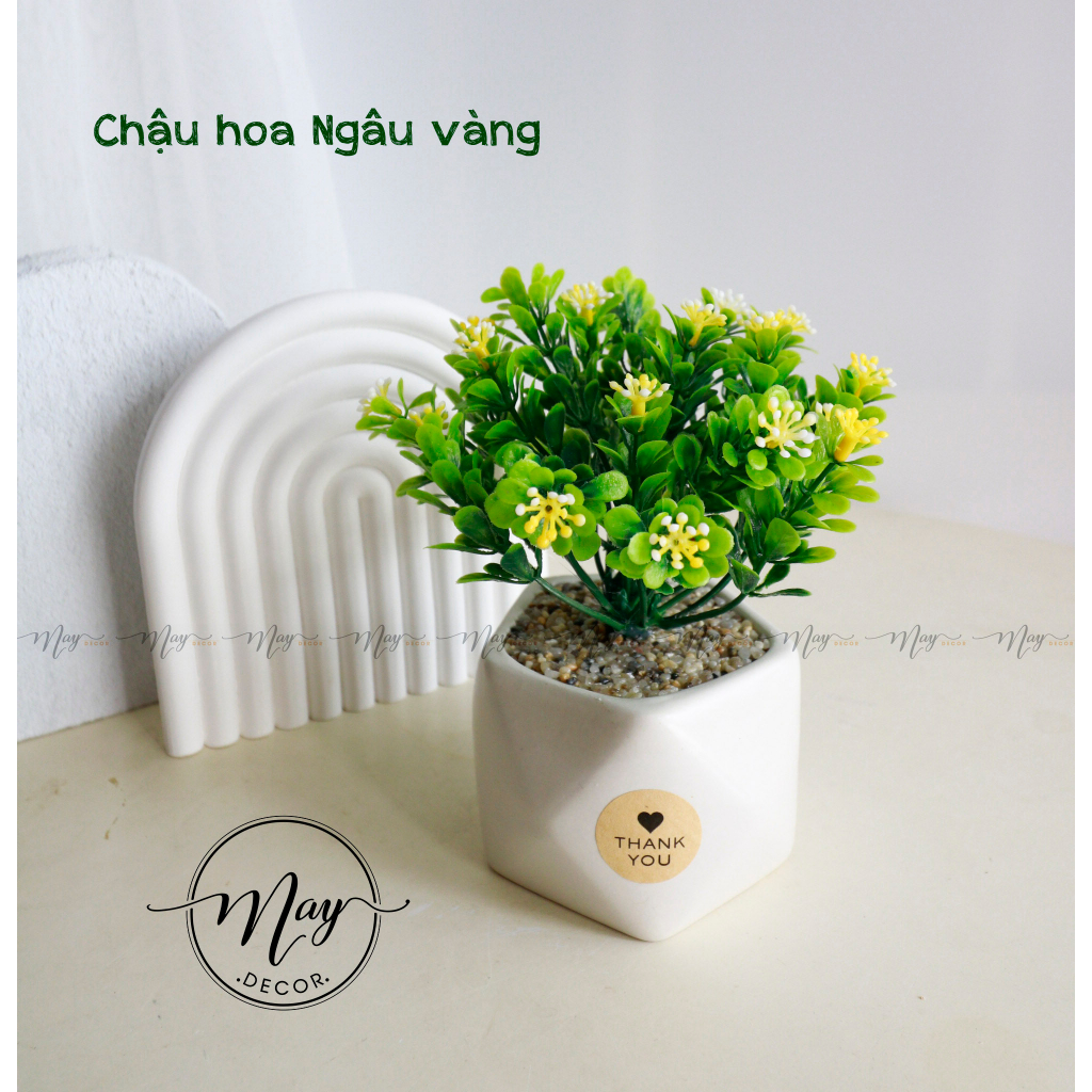 Hoa giả, Chậu hoa Ngâu để bàn trang trí