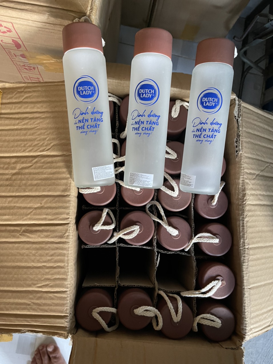 Bình nước,ly nước thủy tinh 380ml/450ml [ Hoàn Tiền Nếu bể vỡ khi nhận hàng ]