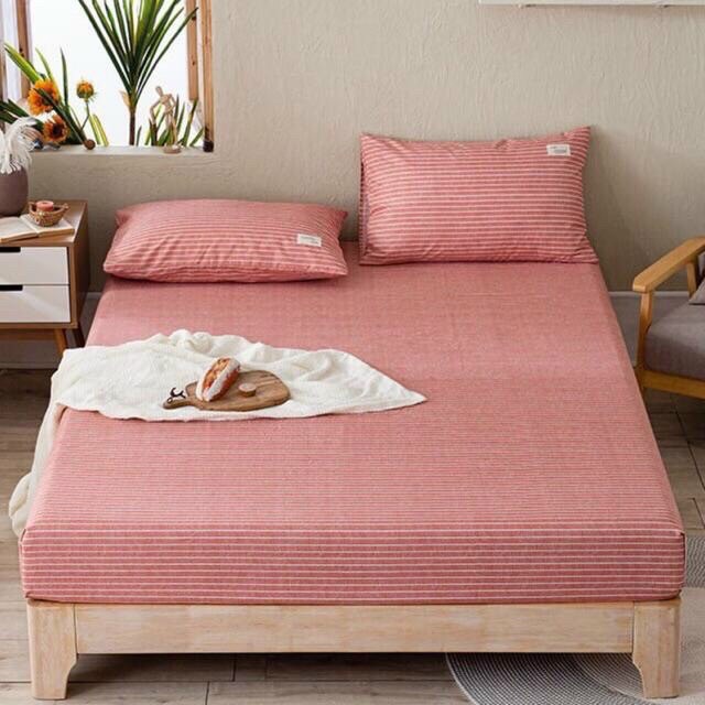 Bộ ga gối cotton tici kẻ , chất liệu mềm mát