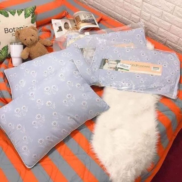 Đôi ruột gối Thương Hiệu