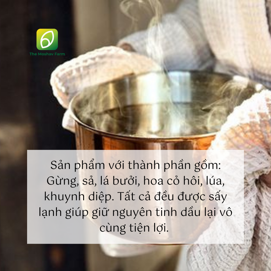 LÁ XÔNG GIẢI CẢM