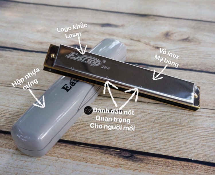 Kèn Harmonica Tremolo Easttop T2401 Tone C