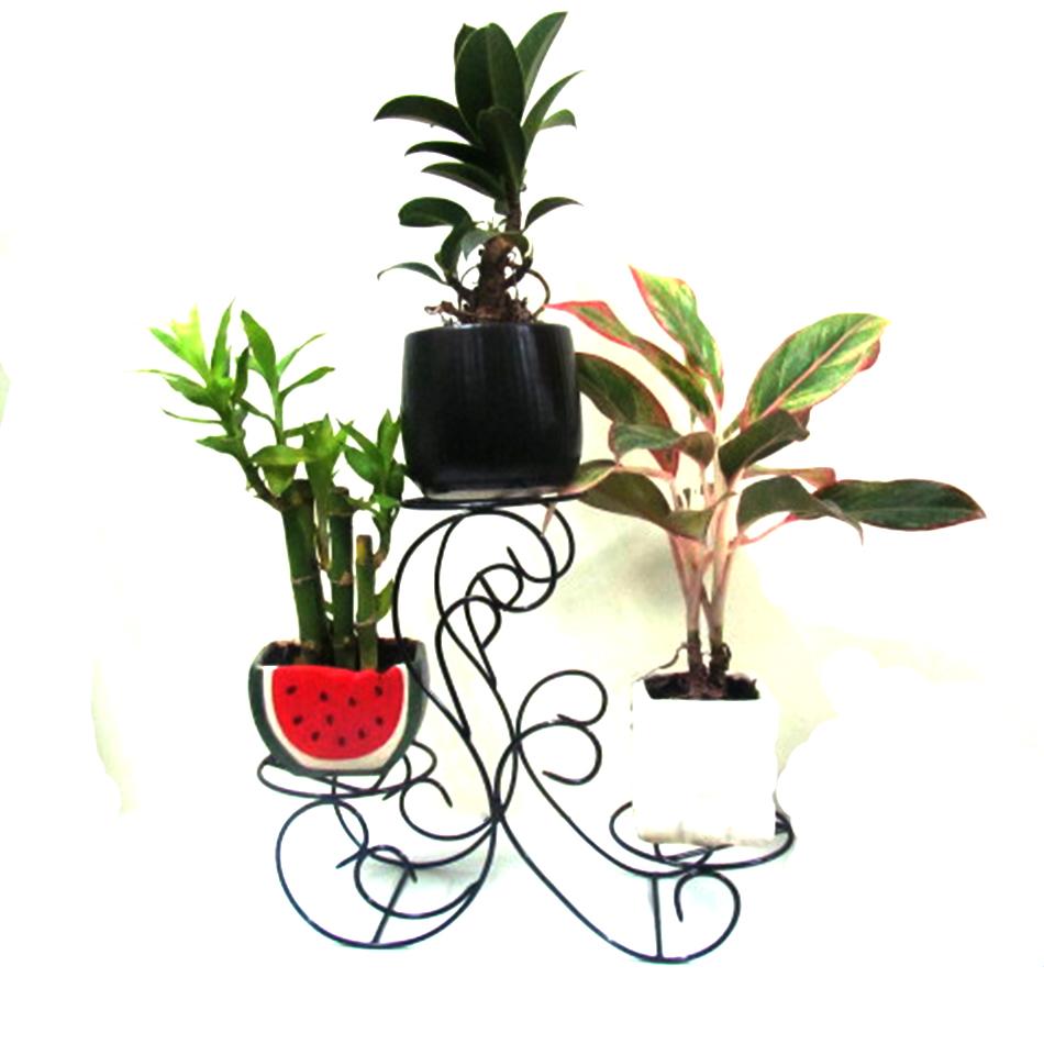 Kệ  giá đỡ chậu hoa mini