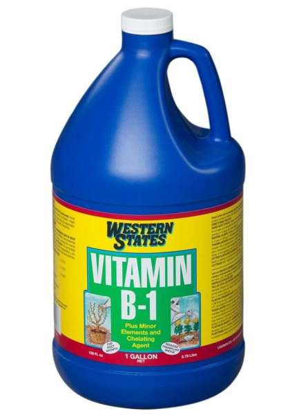 Vitamin B1 1 gallon (3.78 lít hàng nhập khẩu)