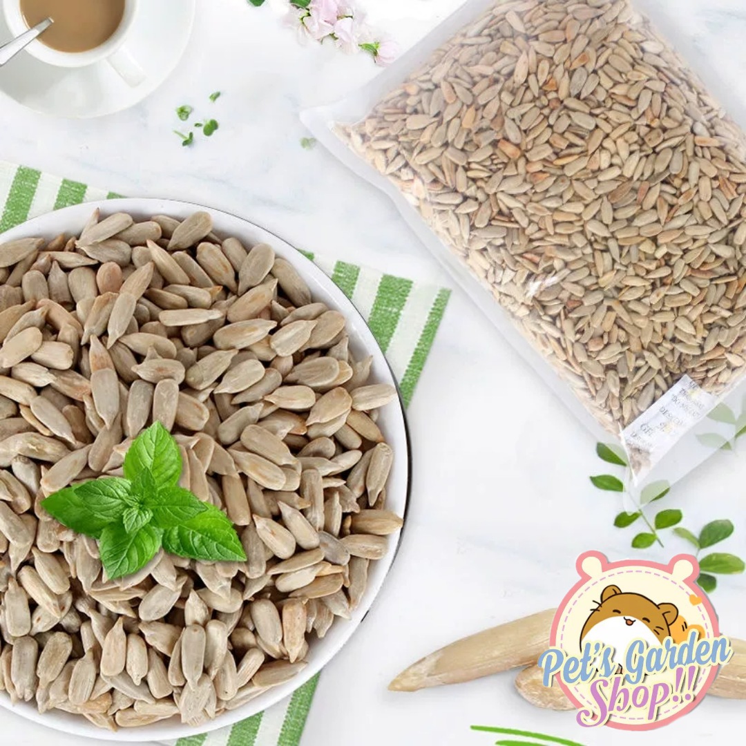 Hạt hướng dương tách vỏ - Thức ăn cho hamster
