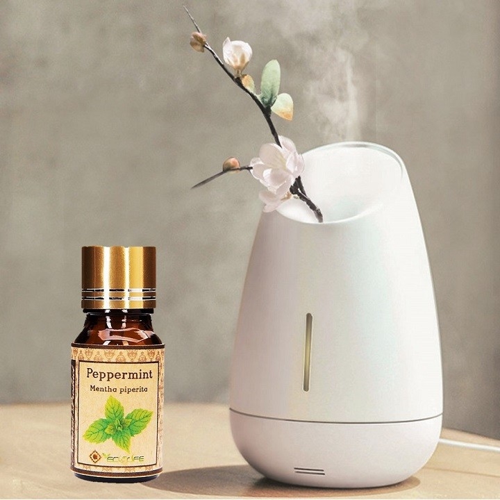 Tinh dầu đuổi chuột lá bạc hà Ecolife